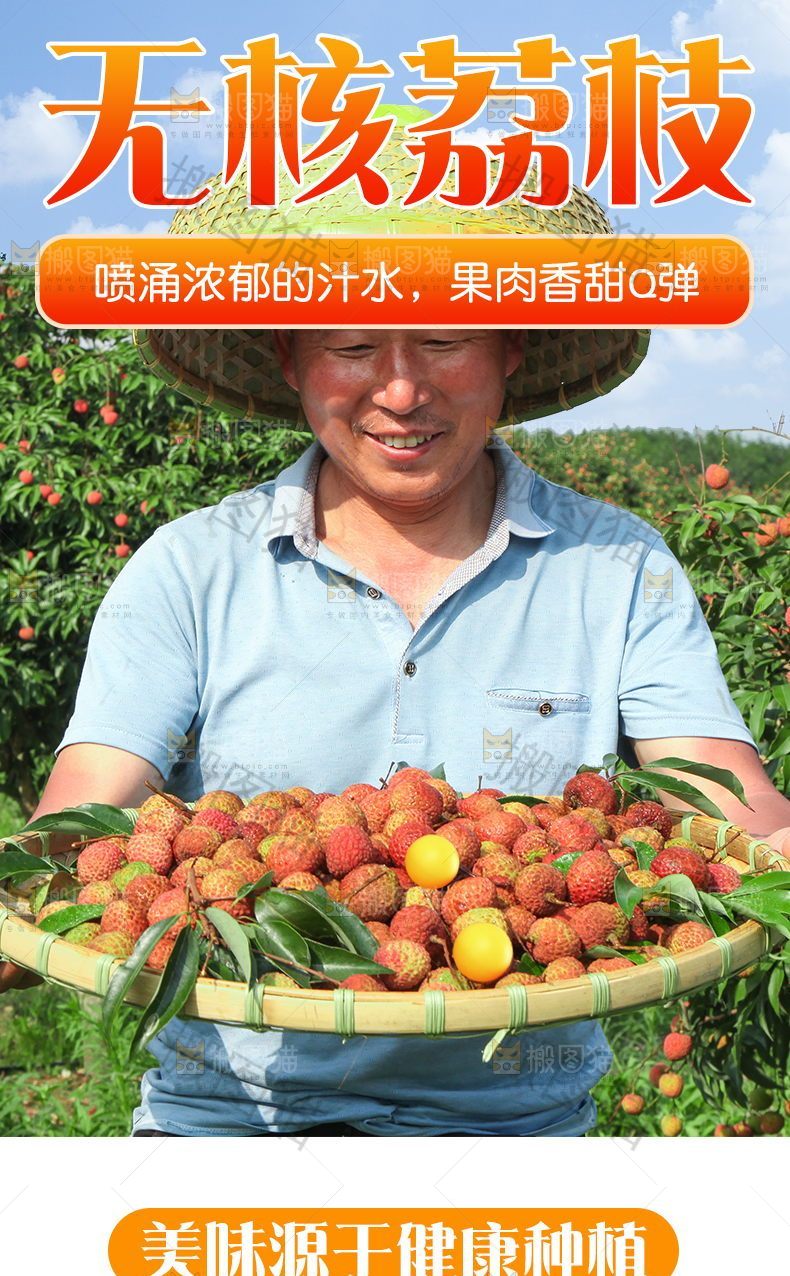 无核荔枝详情