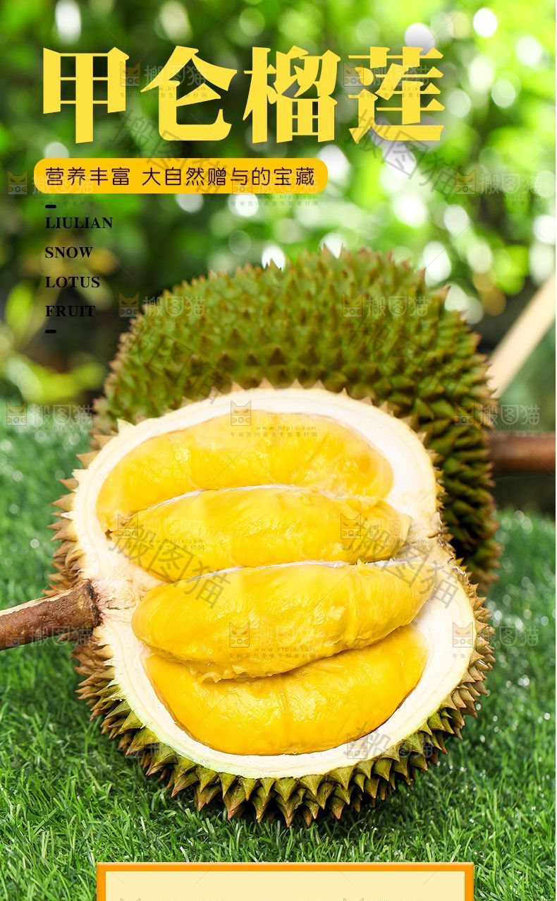甲仑榴莲详情页