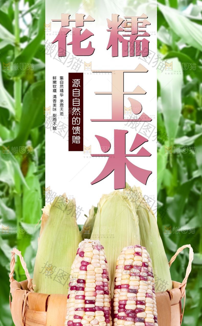 花糯玉米详情页设计