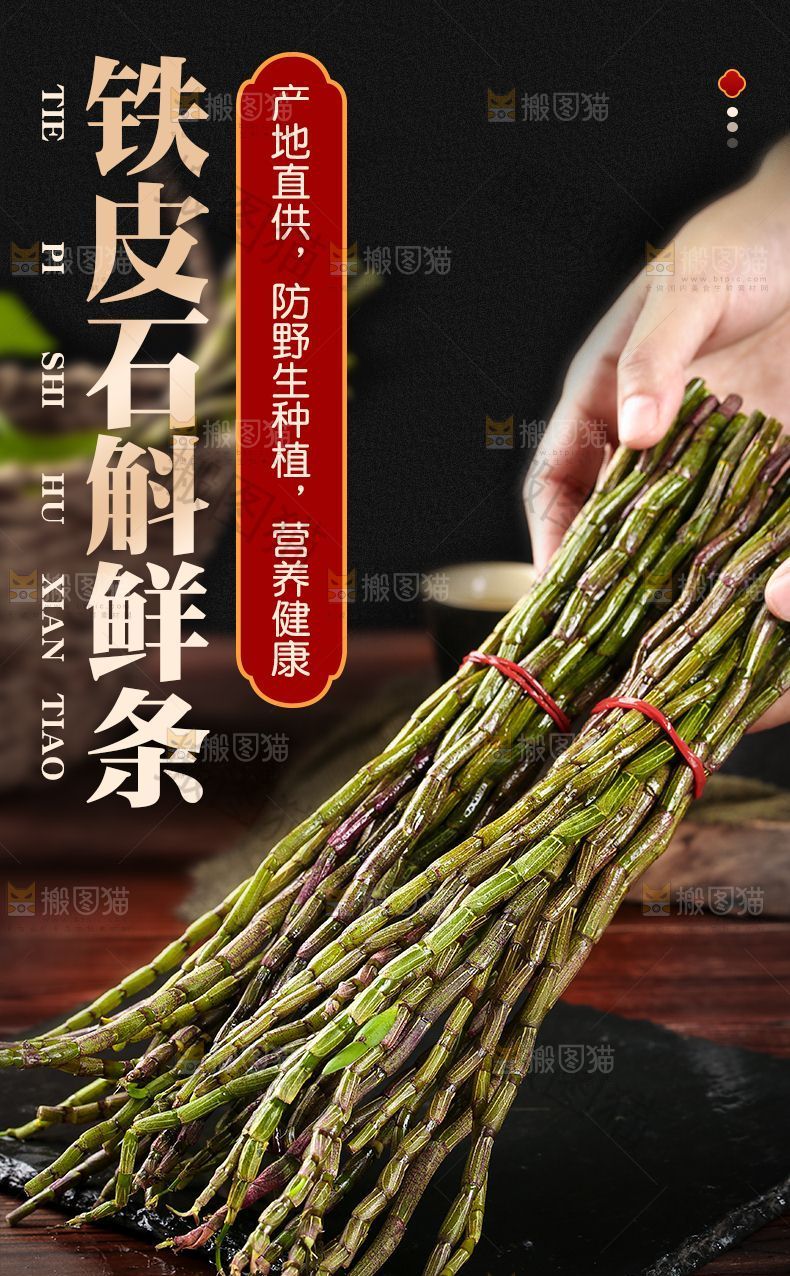 铁皮石斛鲜条详情