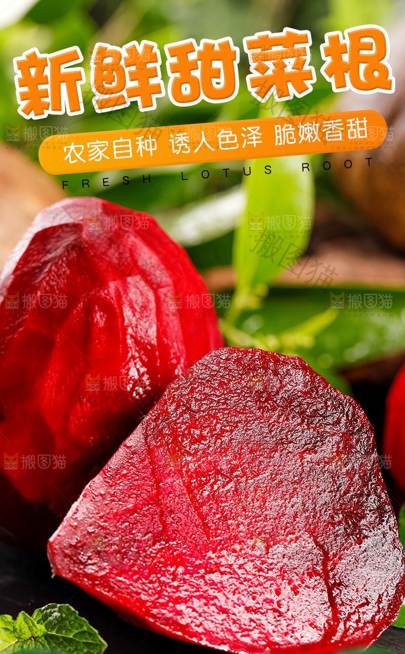 新鲜甜菜根详情