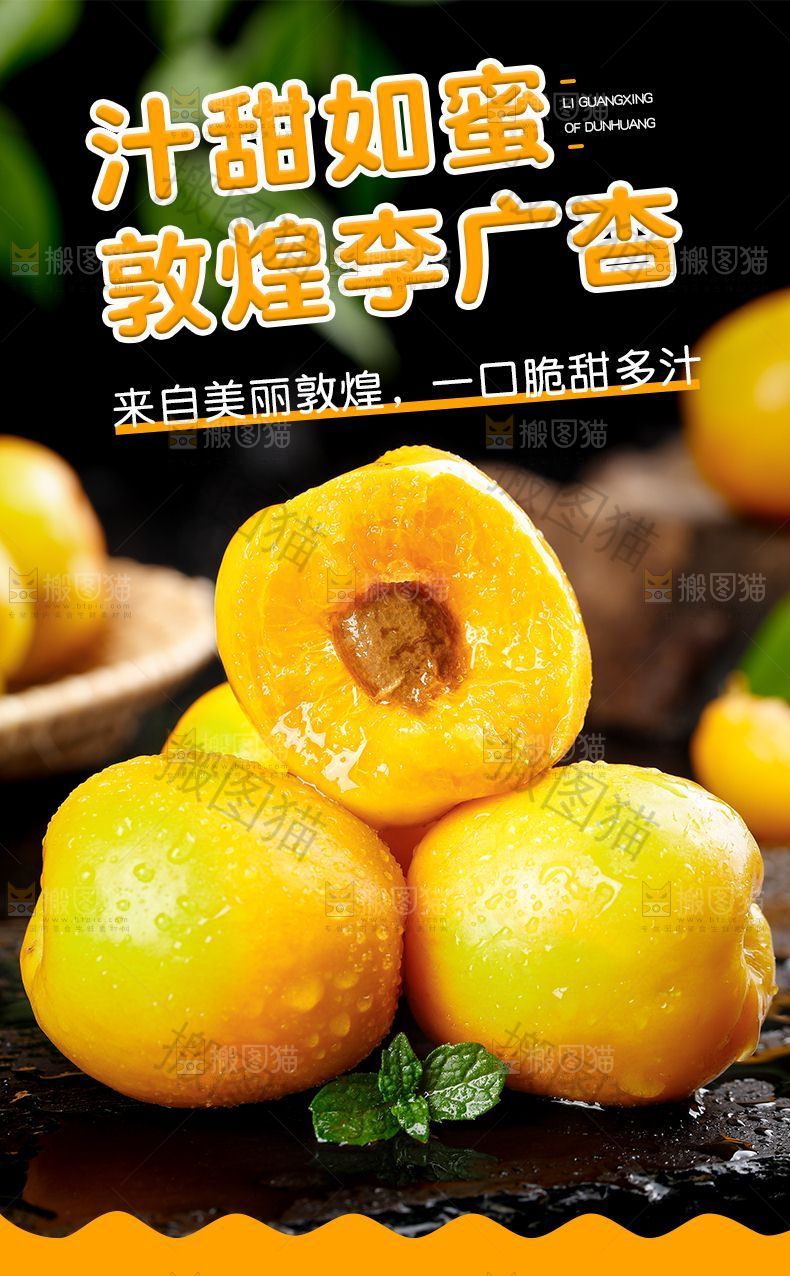 敦煌李广杏详情