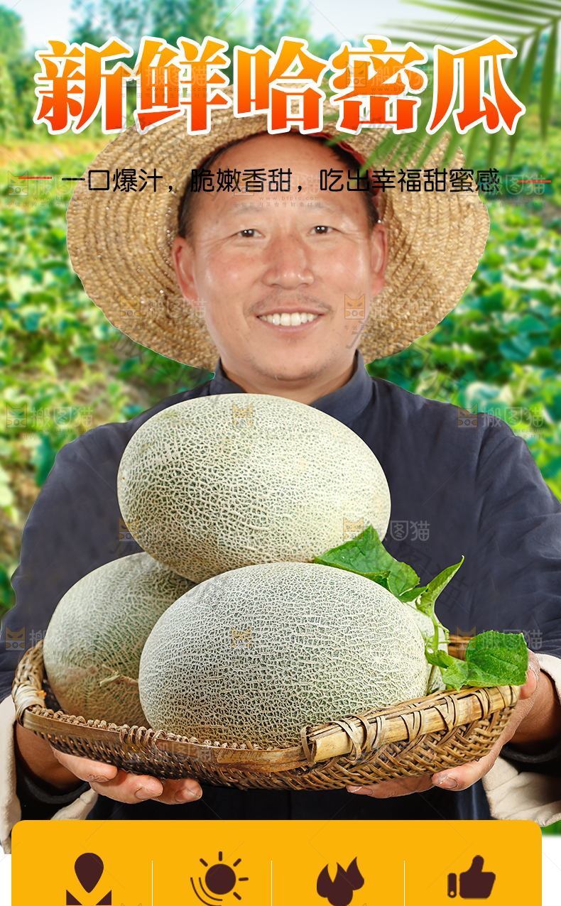 新鲜哈密瓜详情页