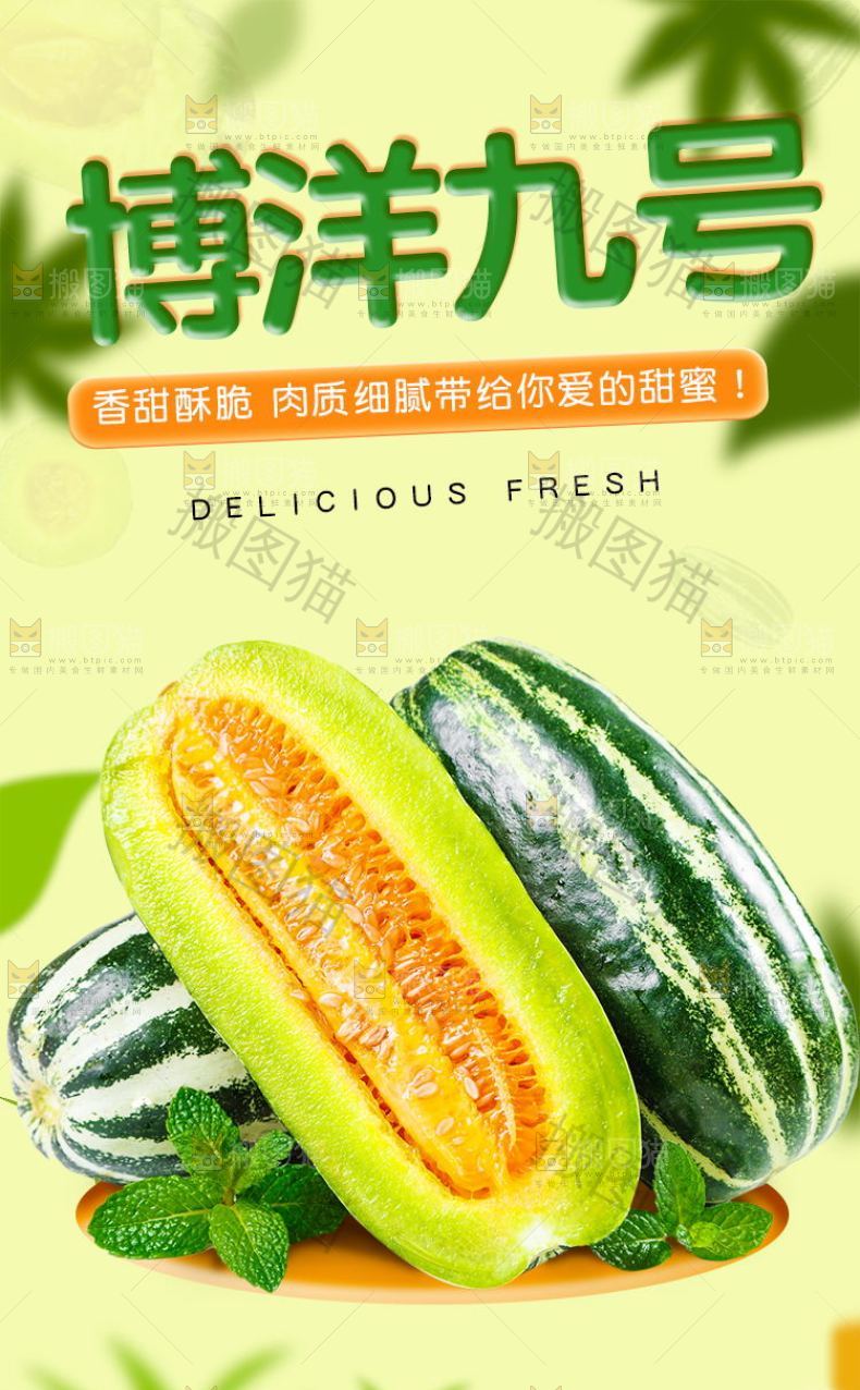 博洋9号详情
