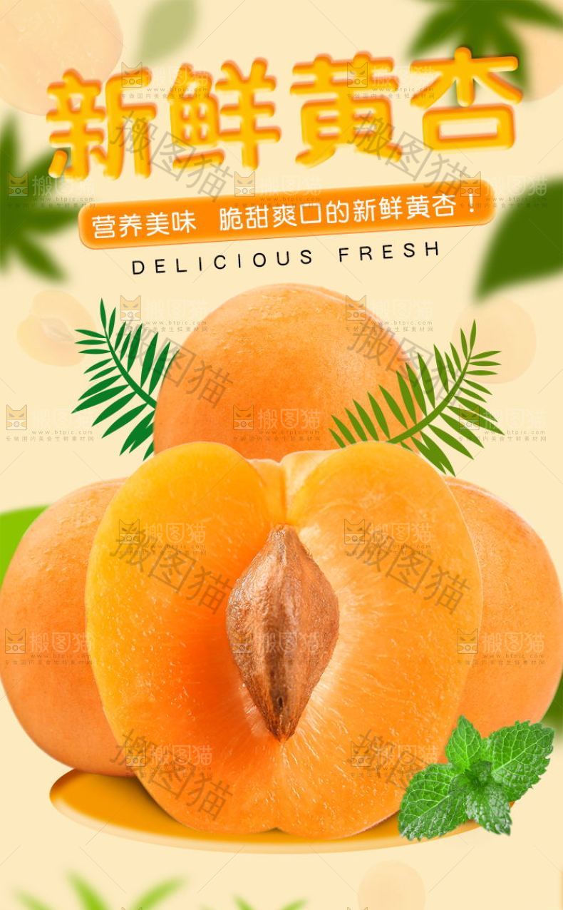 新鲜黄杏详情页