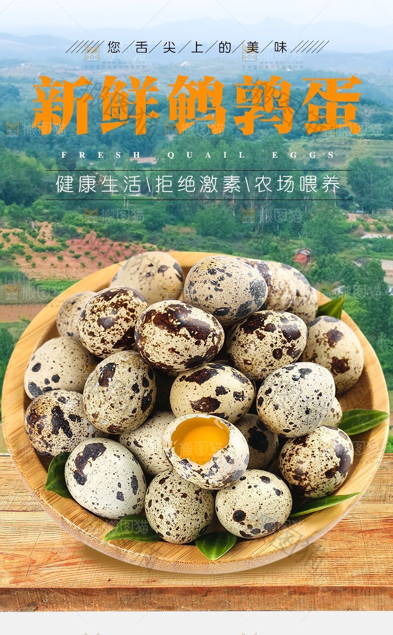 鹌鹑蛋详情页设计