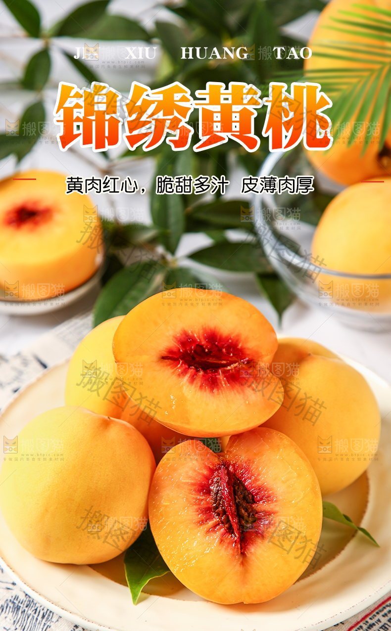 锦绣黄桃详情