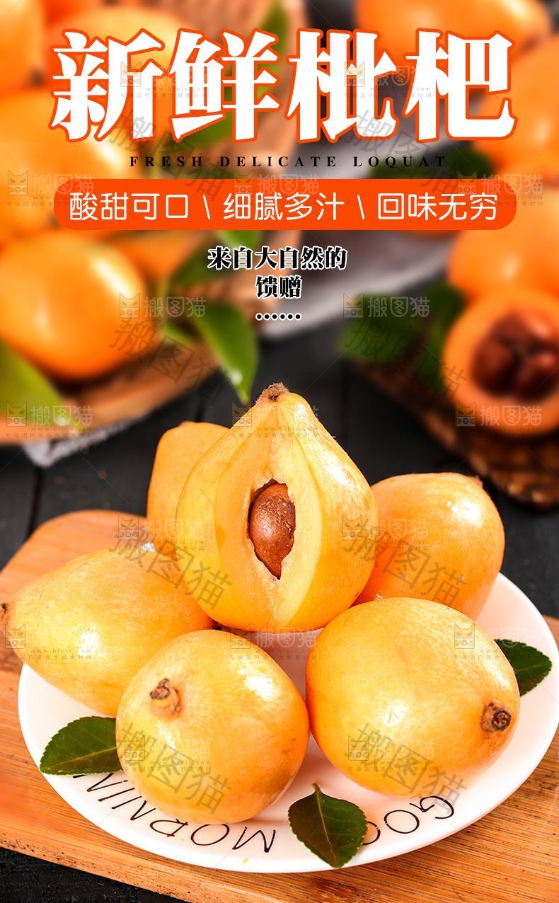 新鲜枇杷详情