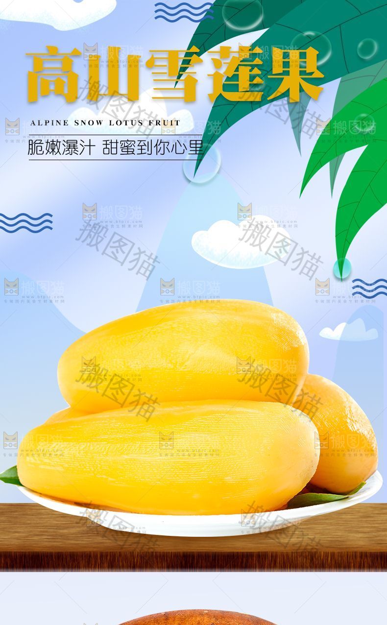 高山雪莲果详情