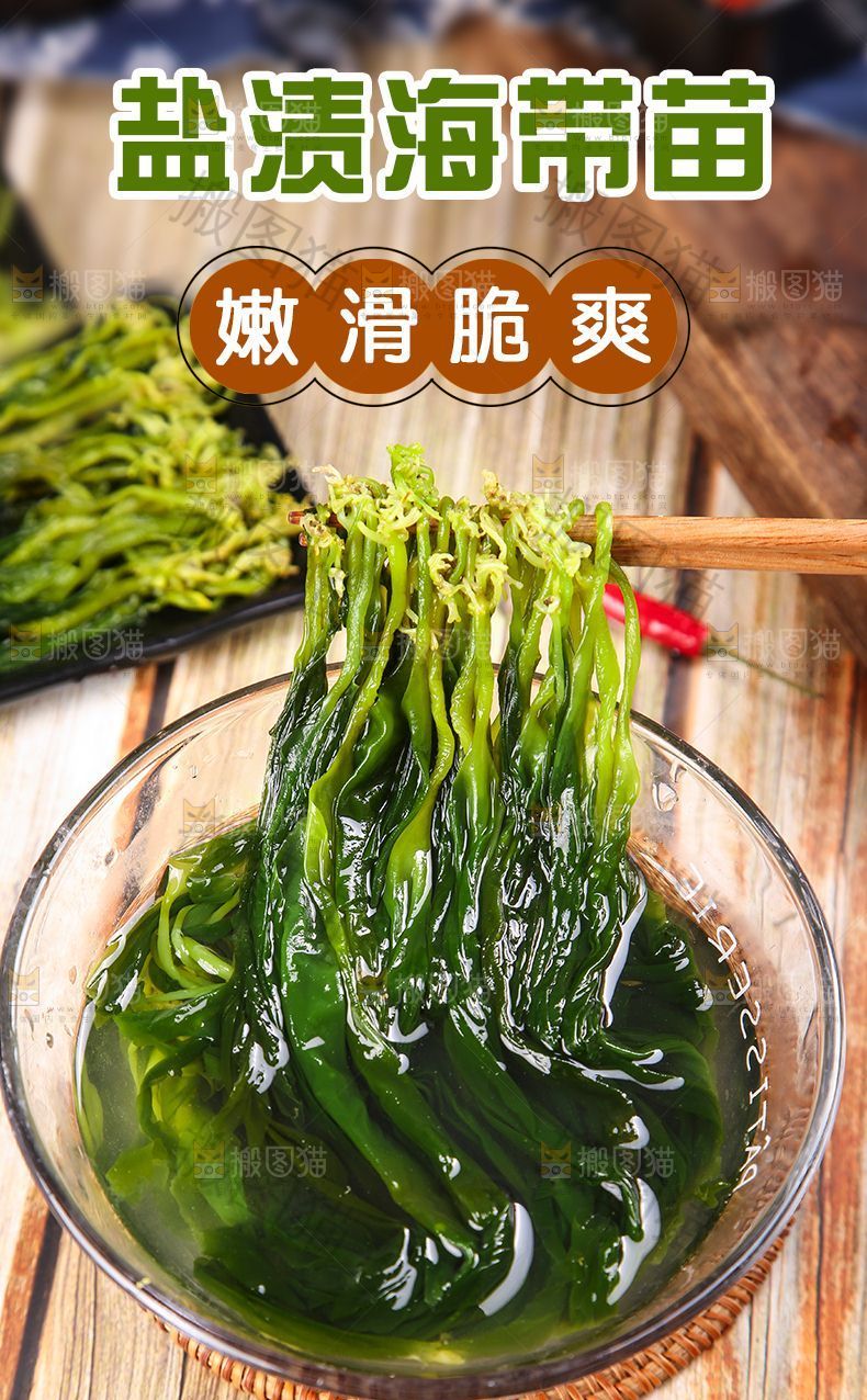 盐渍海带苗详情