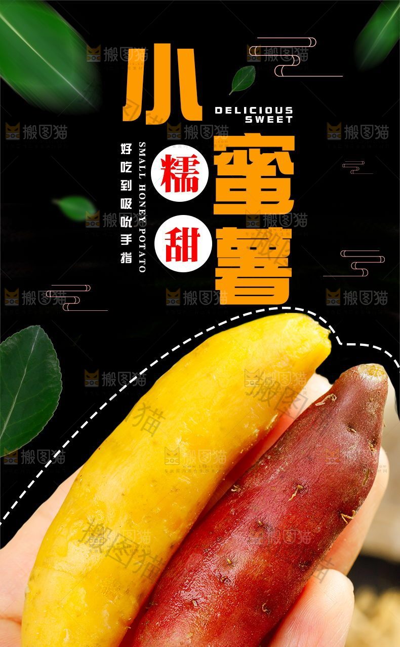 小蜜薯详情