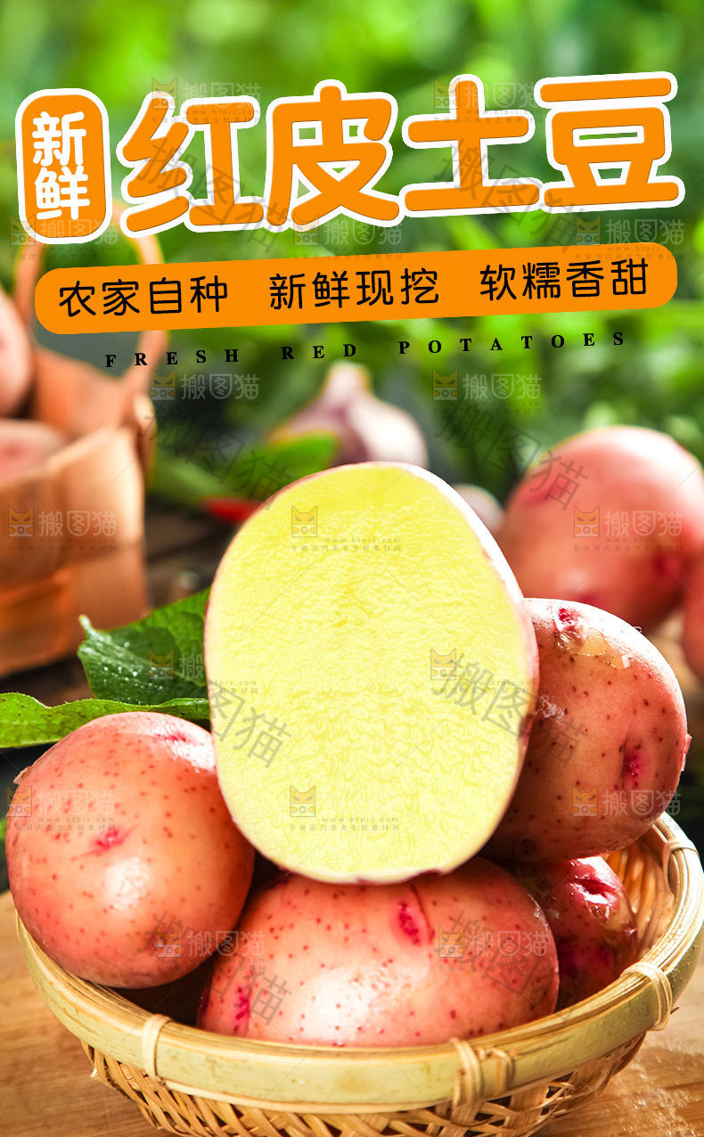新鲜红皮土豆