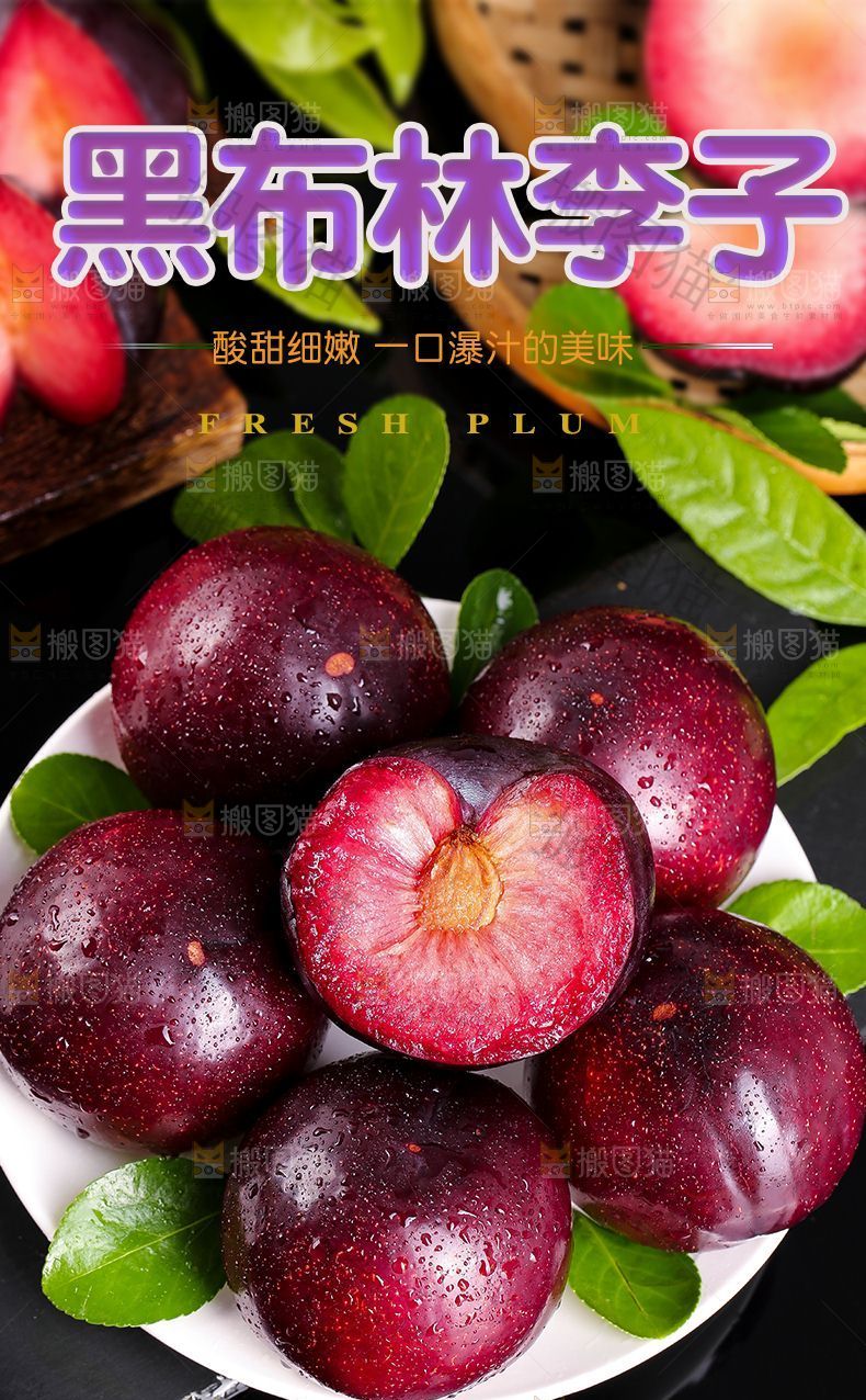 黑布林李子详情