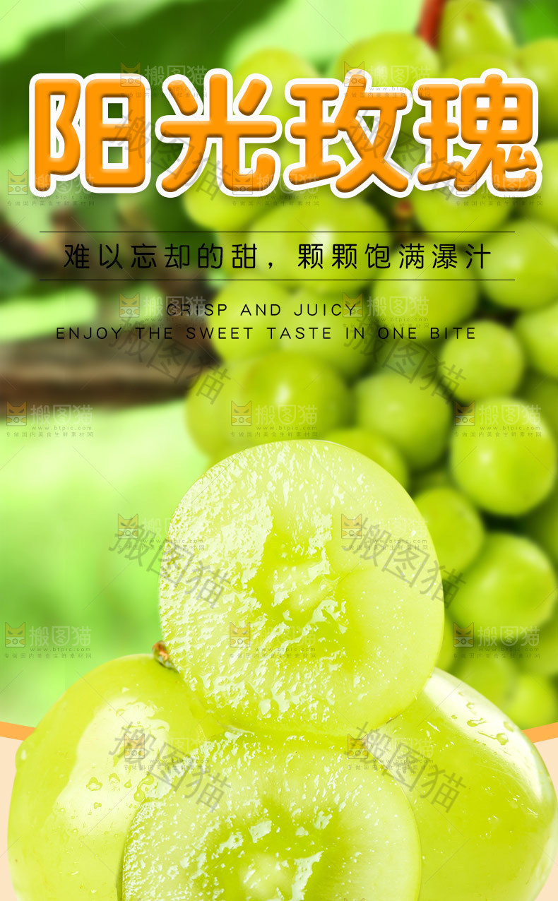 阳光玫瑰详情