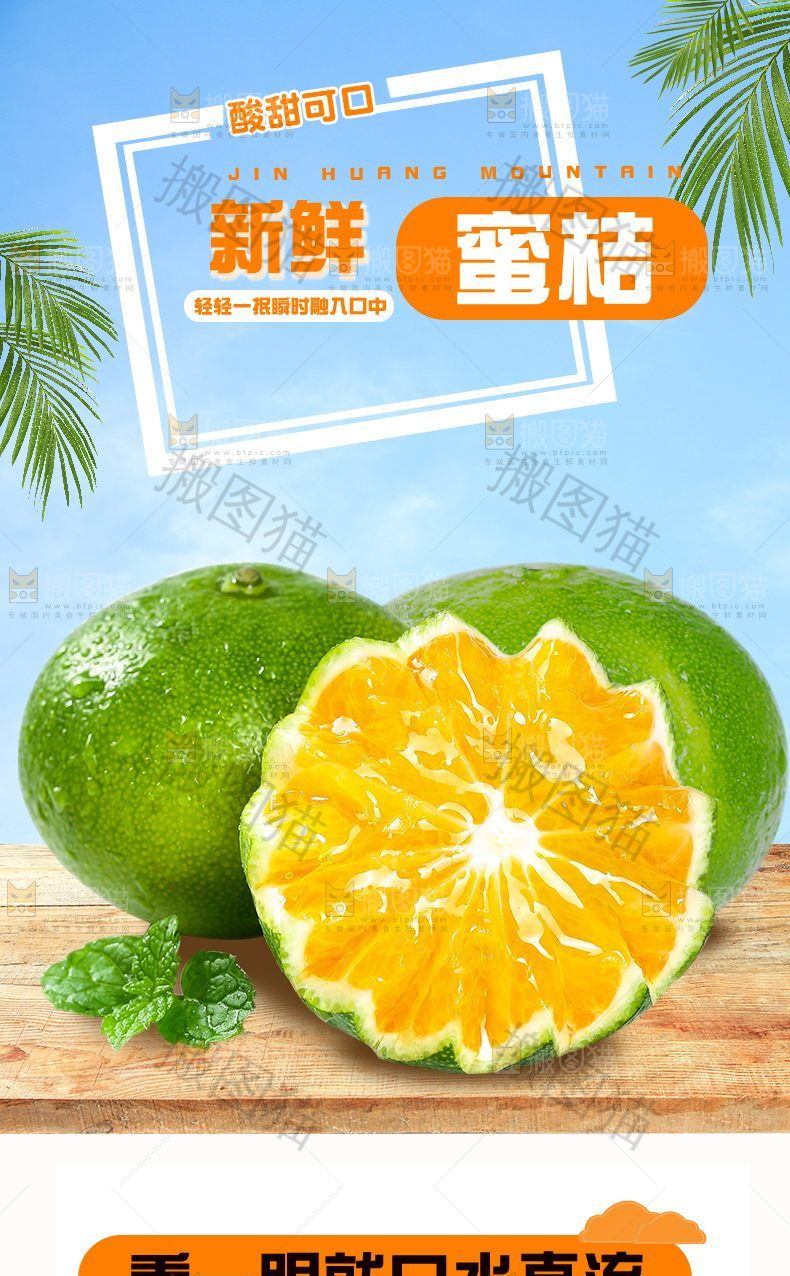 新鲜蜜桔