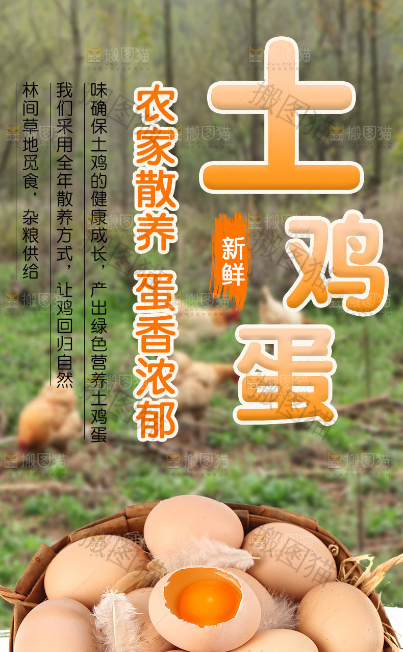 新鲜土鸡蛋