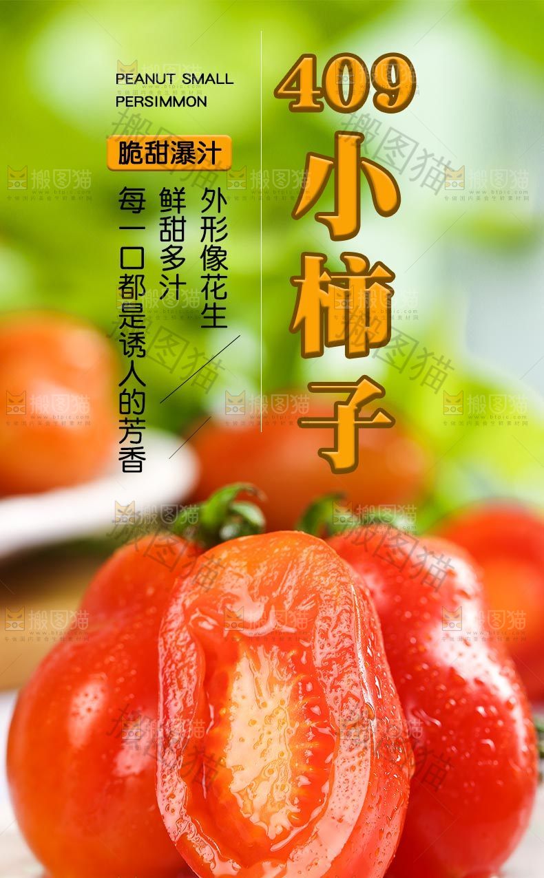 409小柿子详情