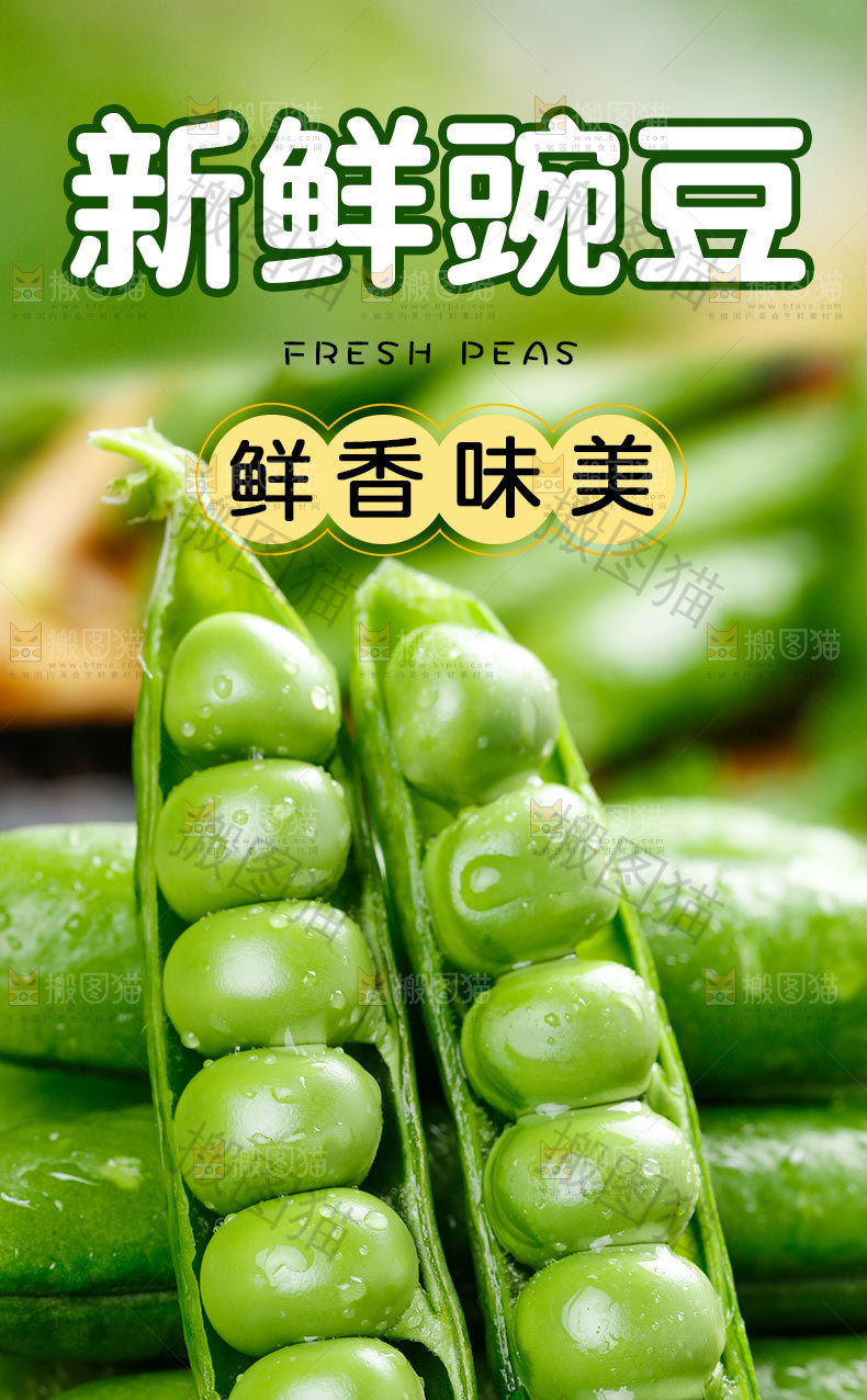 新鲜豌豆详情
