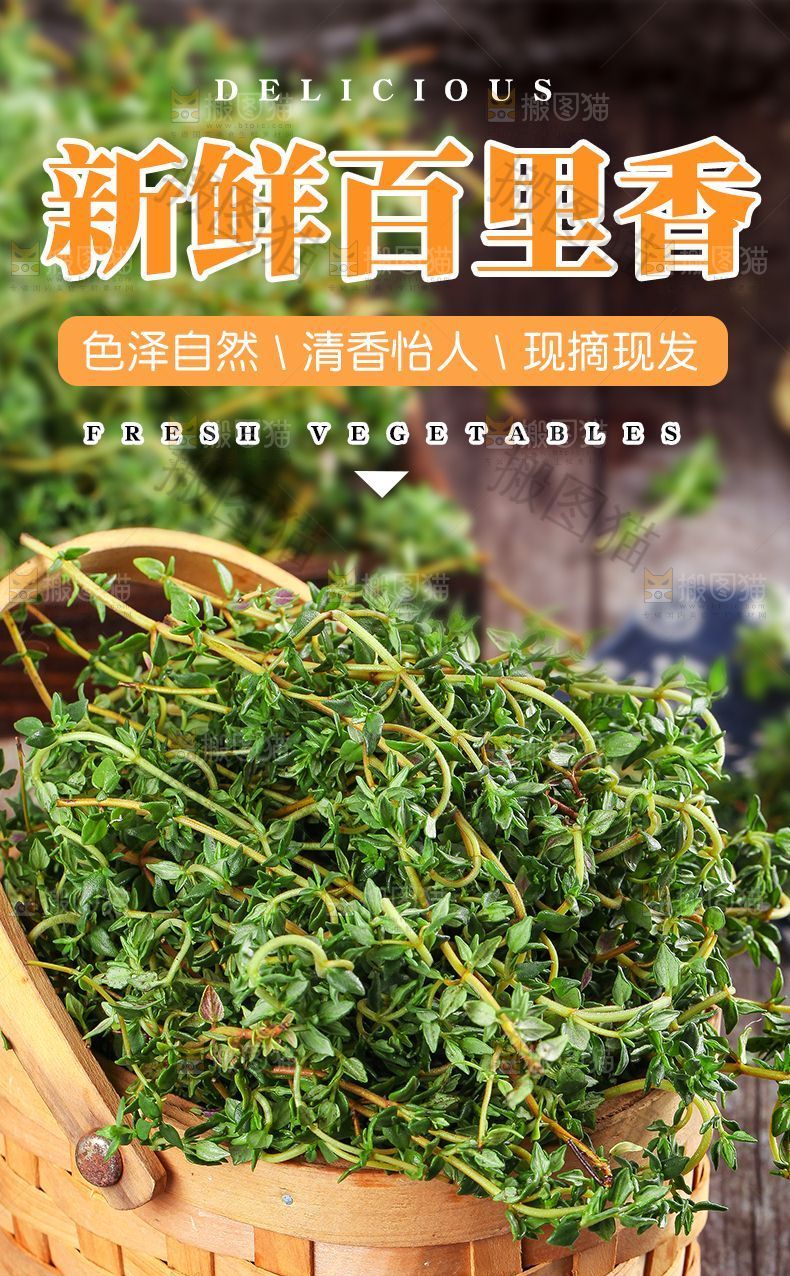 百里香详情页设计