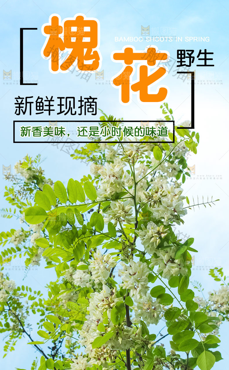 槐花详情页