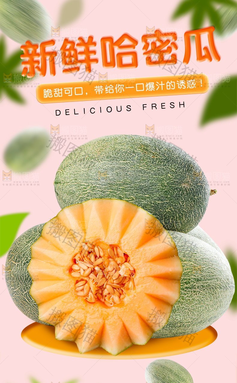 新鲜哈密瓜
