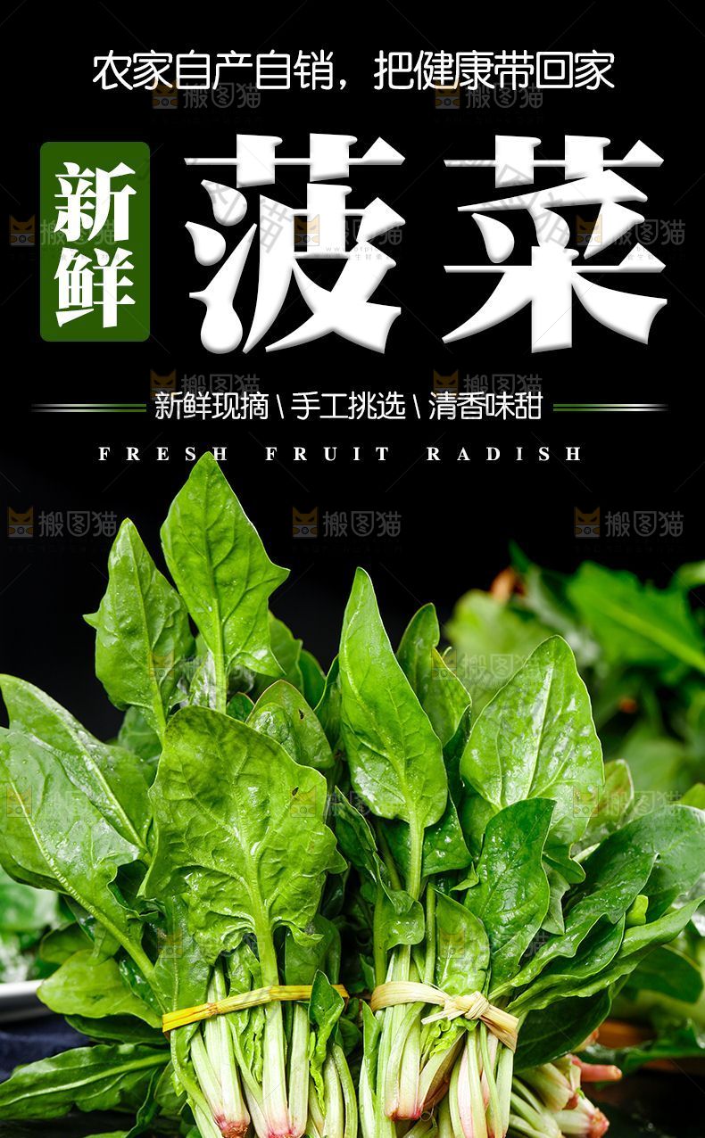 菠菜详情页设计