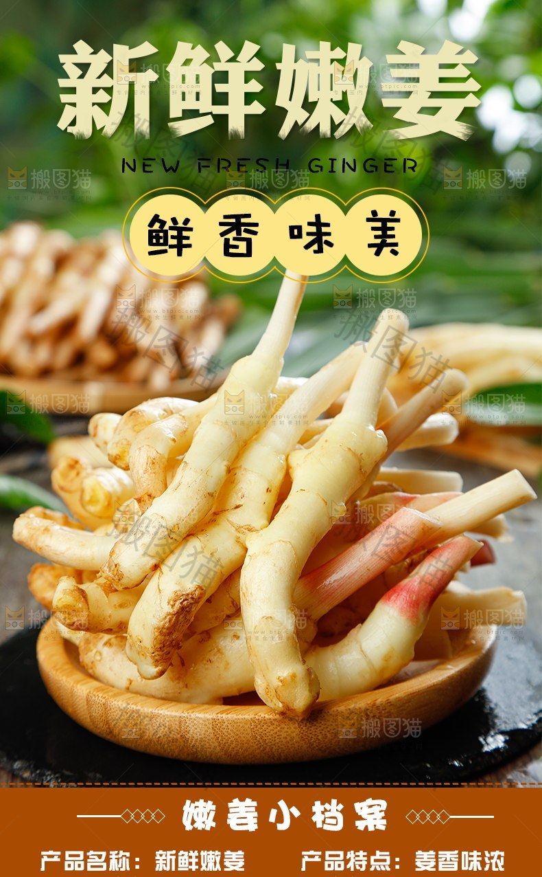 新鲜嫩姜详情