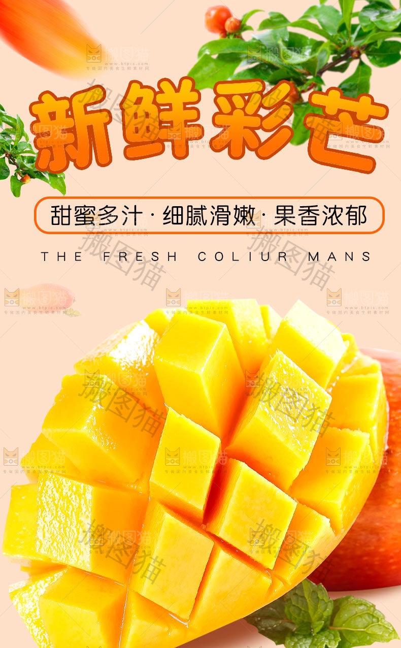 新鲜彩芒