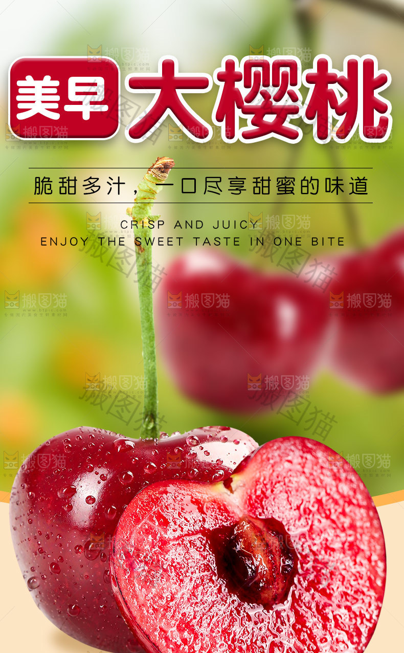 美早大樱桃详情
