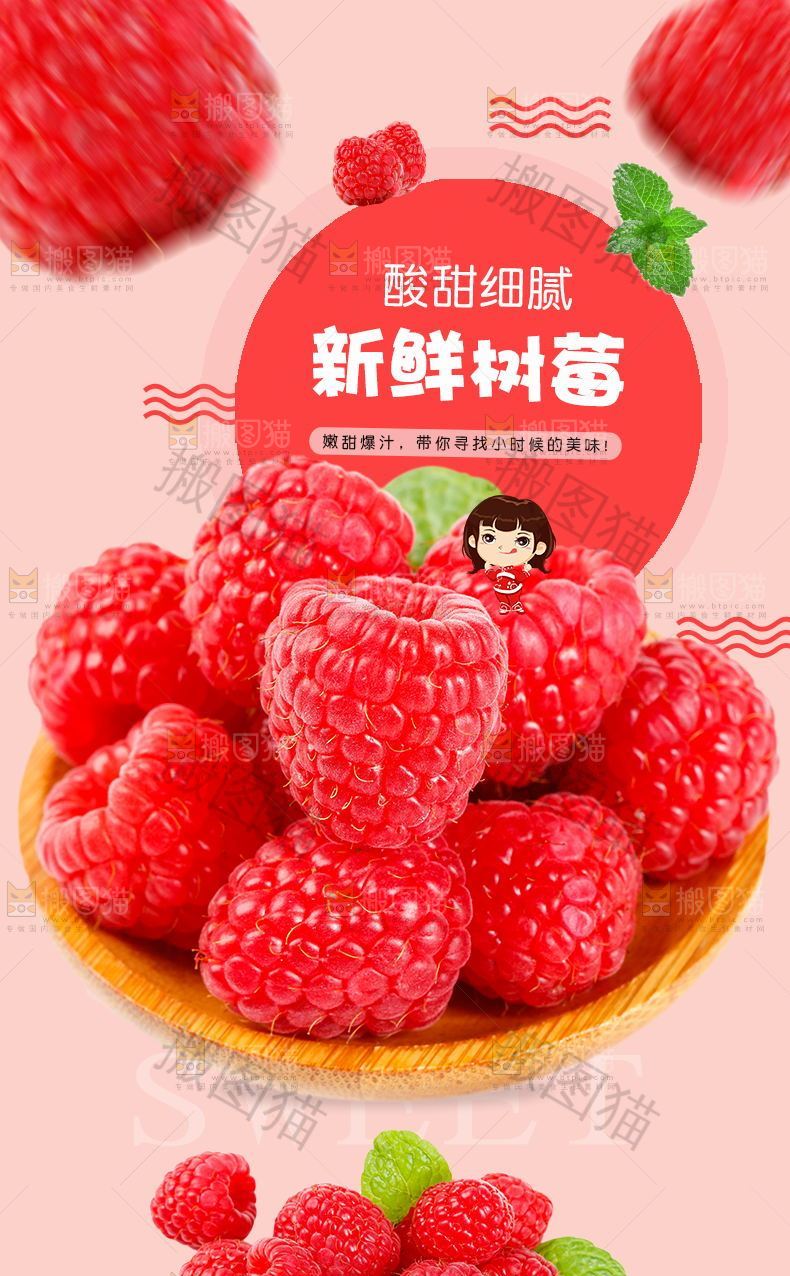 新鲜树莓详情