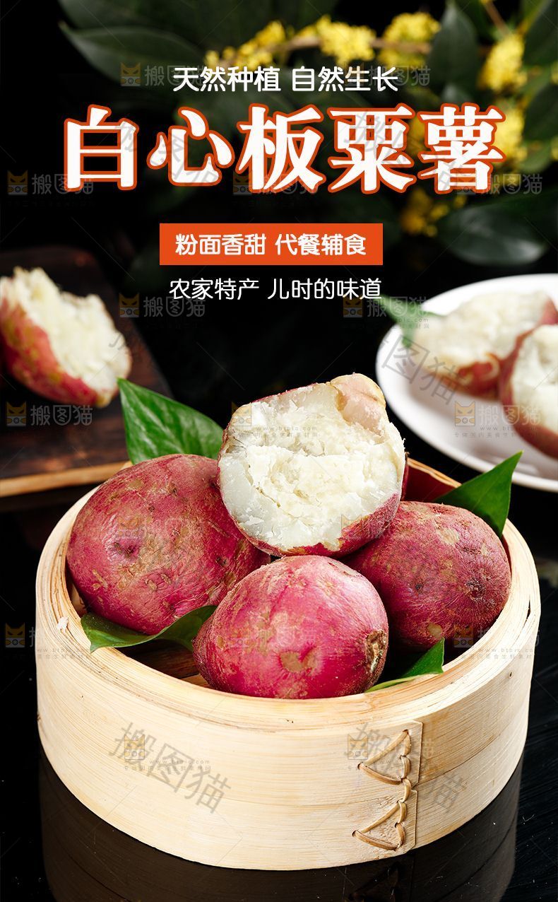 白心板栗薯详情