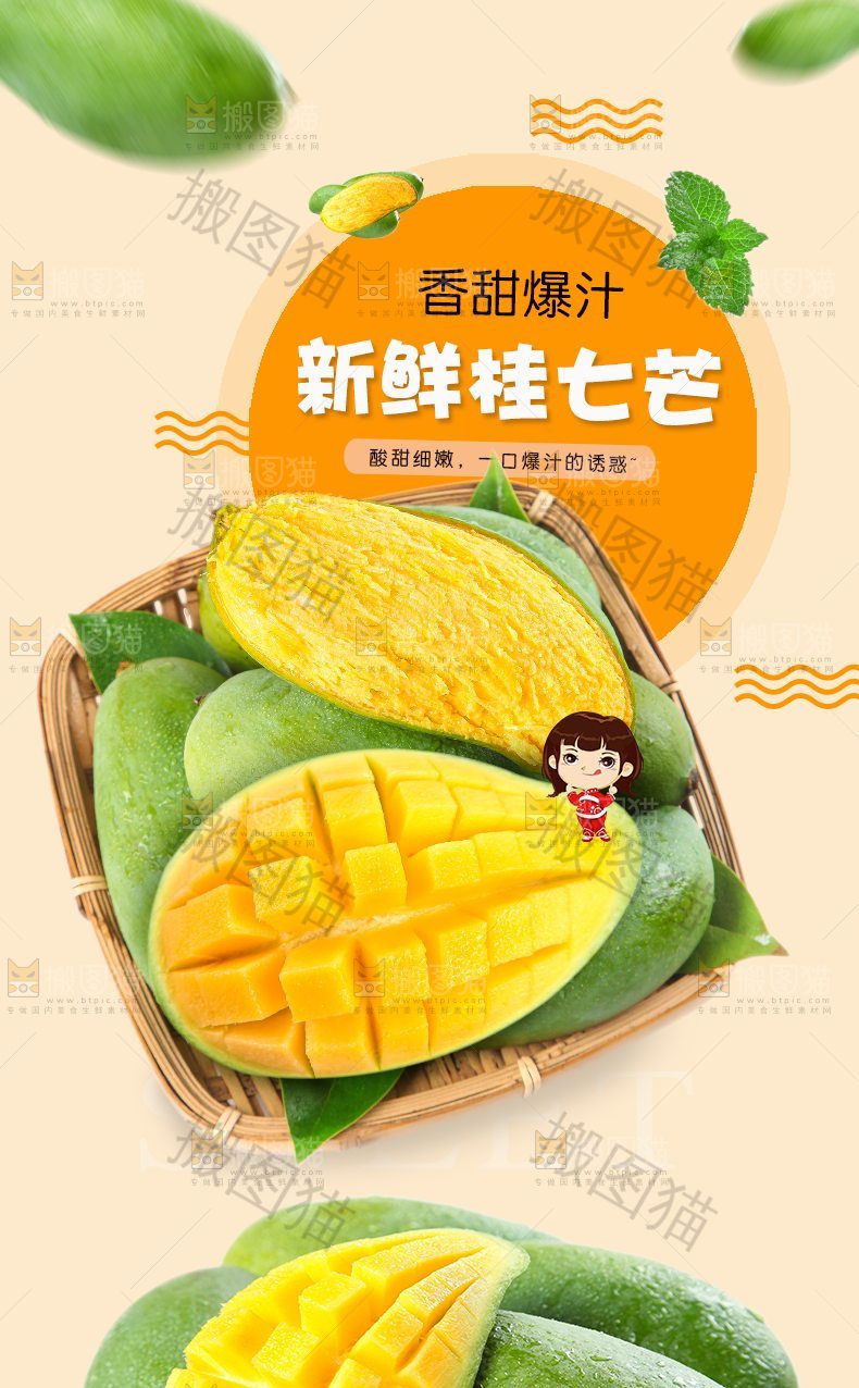 新鲜桂七芒