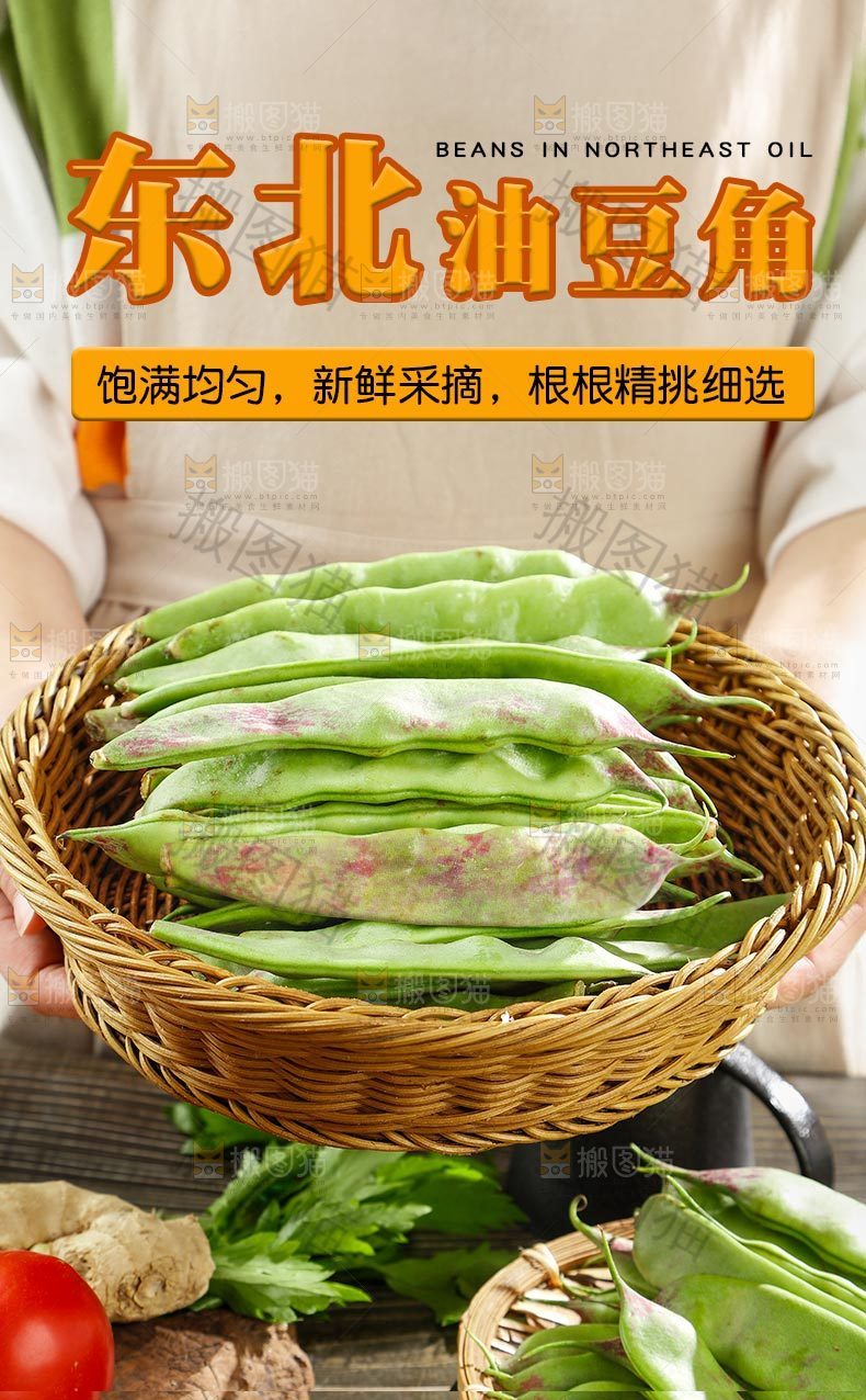 东北油豆角详情