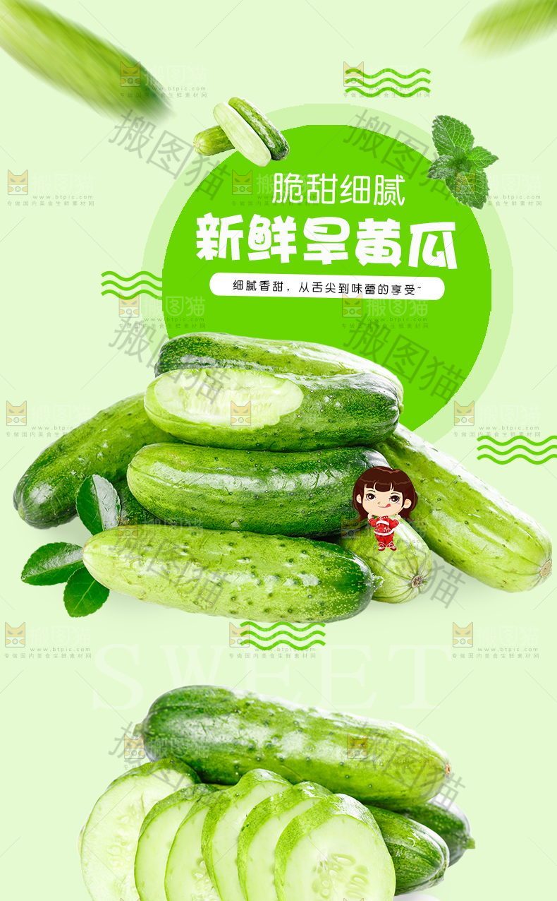 新鲜旱黄瓜详情页