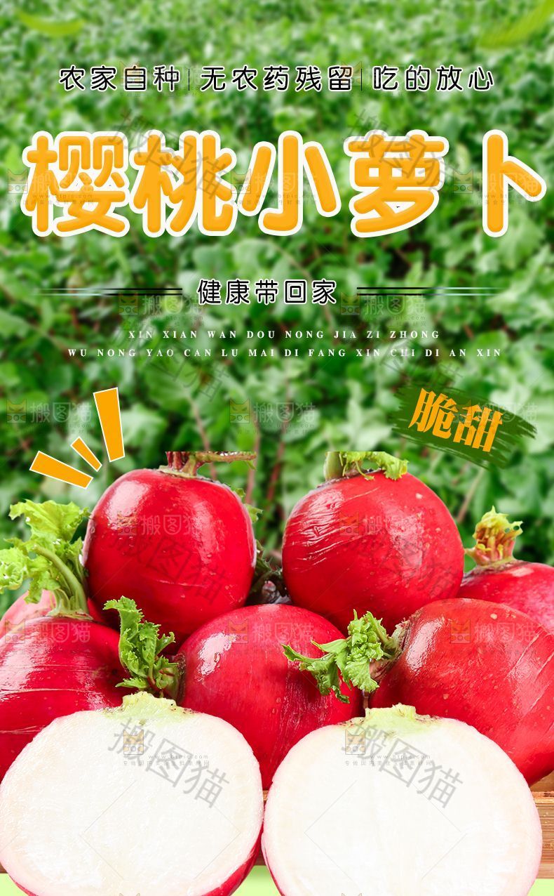 樱桃小萝卜详情页设计
