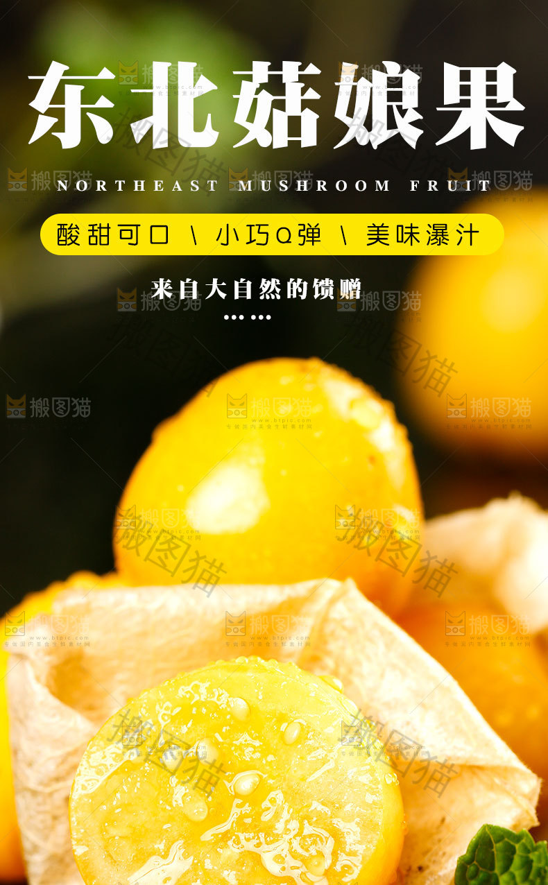 东北菇娘果详情