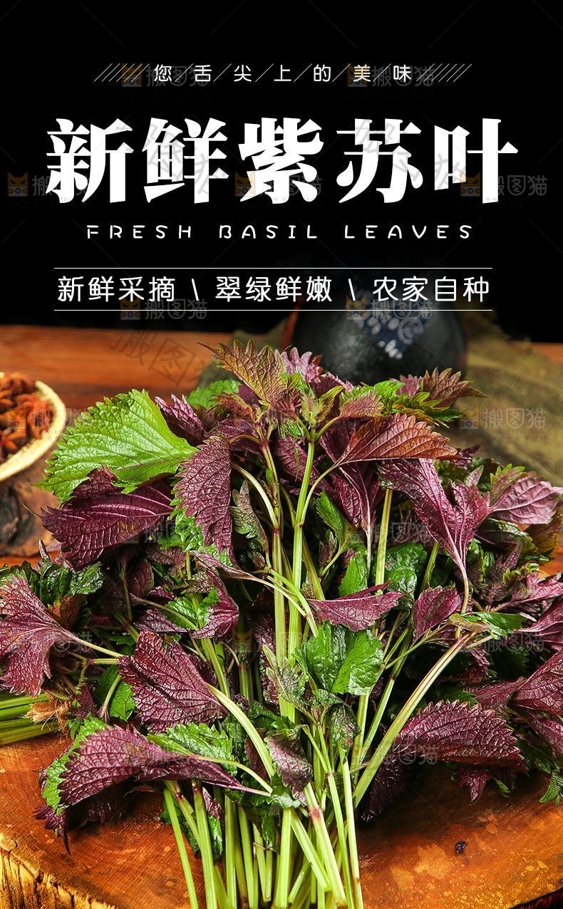紫苏叶详情页设计