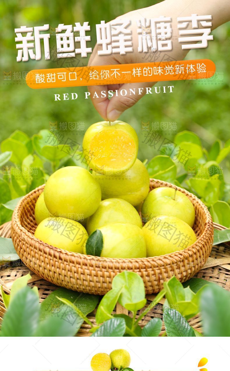 新鲜蜂糖李
