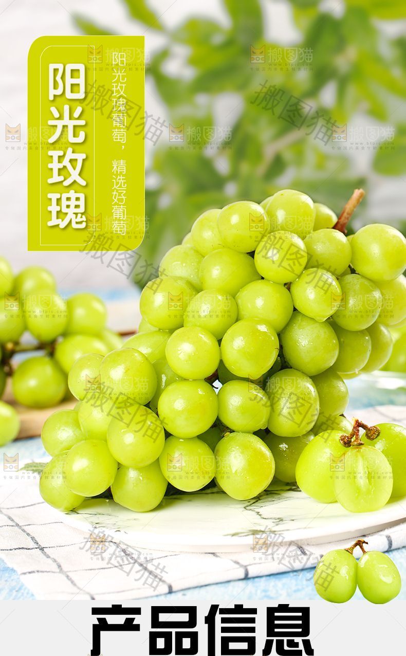 阳光玫瑰详情