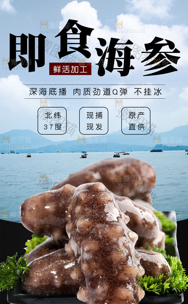 即食海参详情