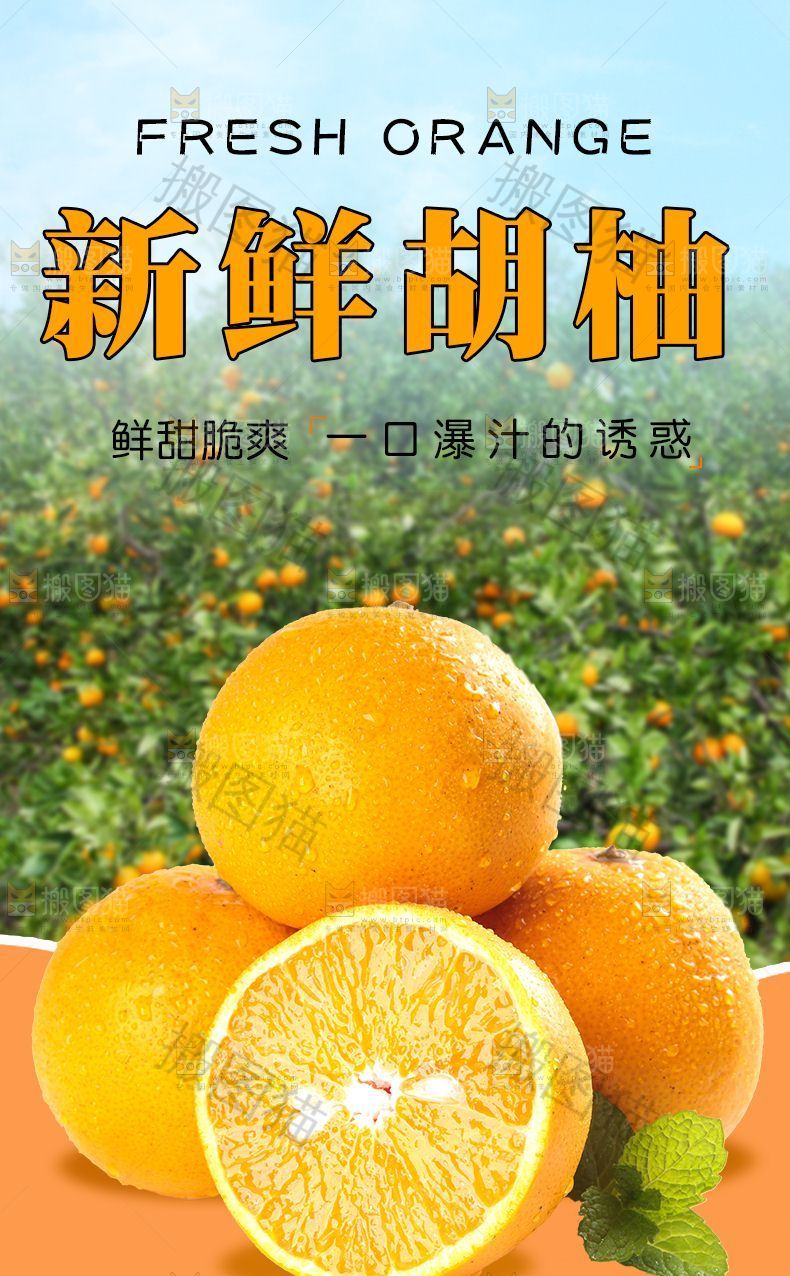 新鲜胡柚