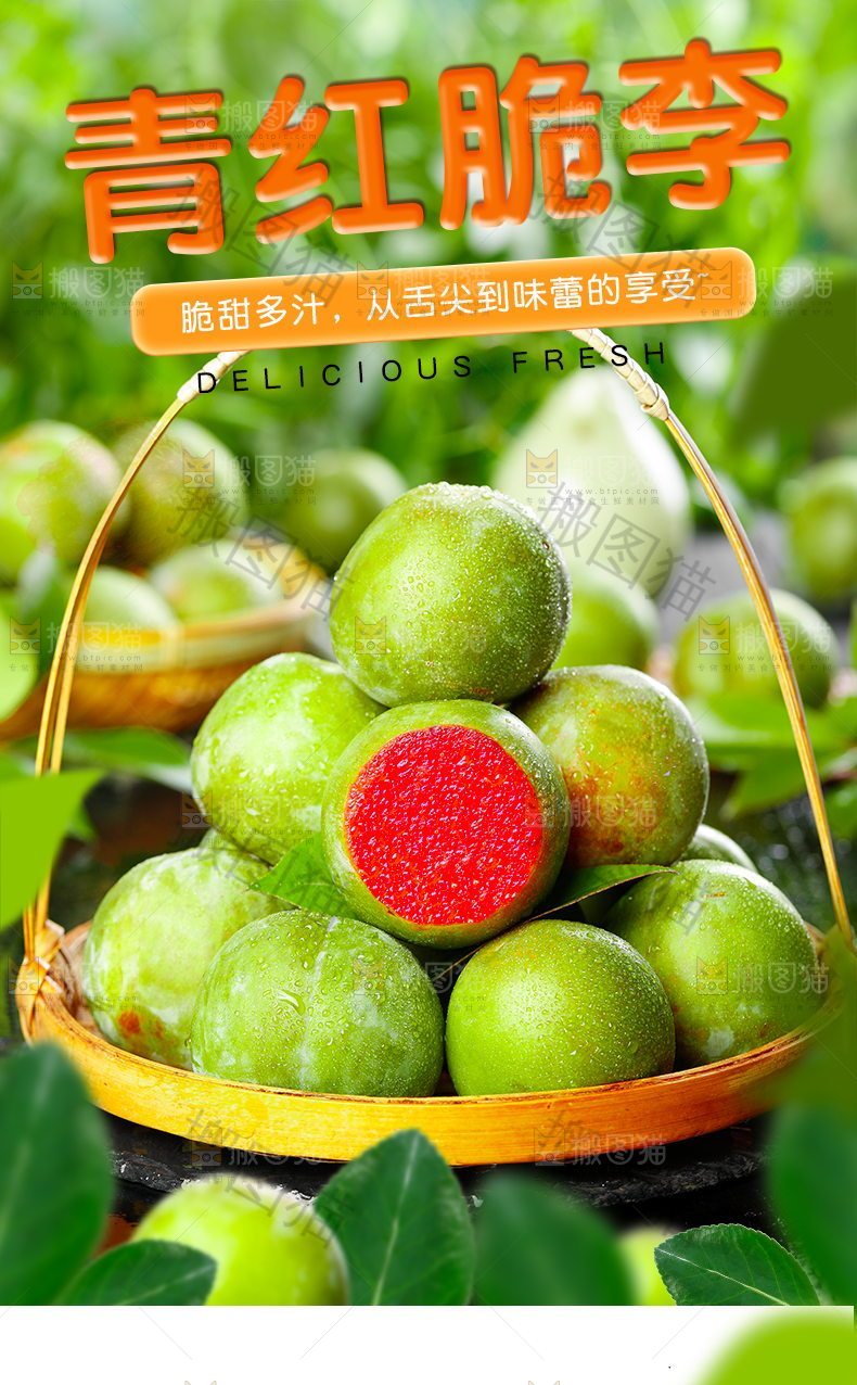 青红脆李详情