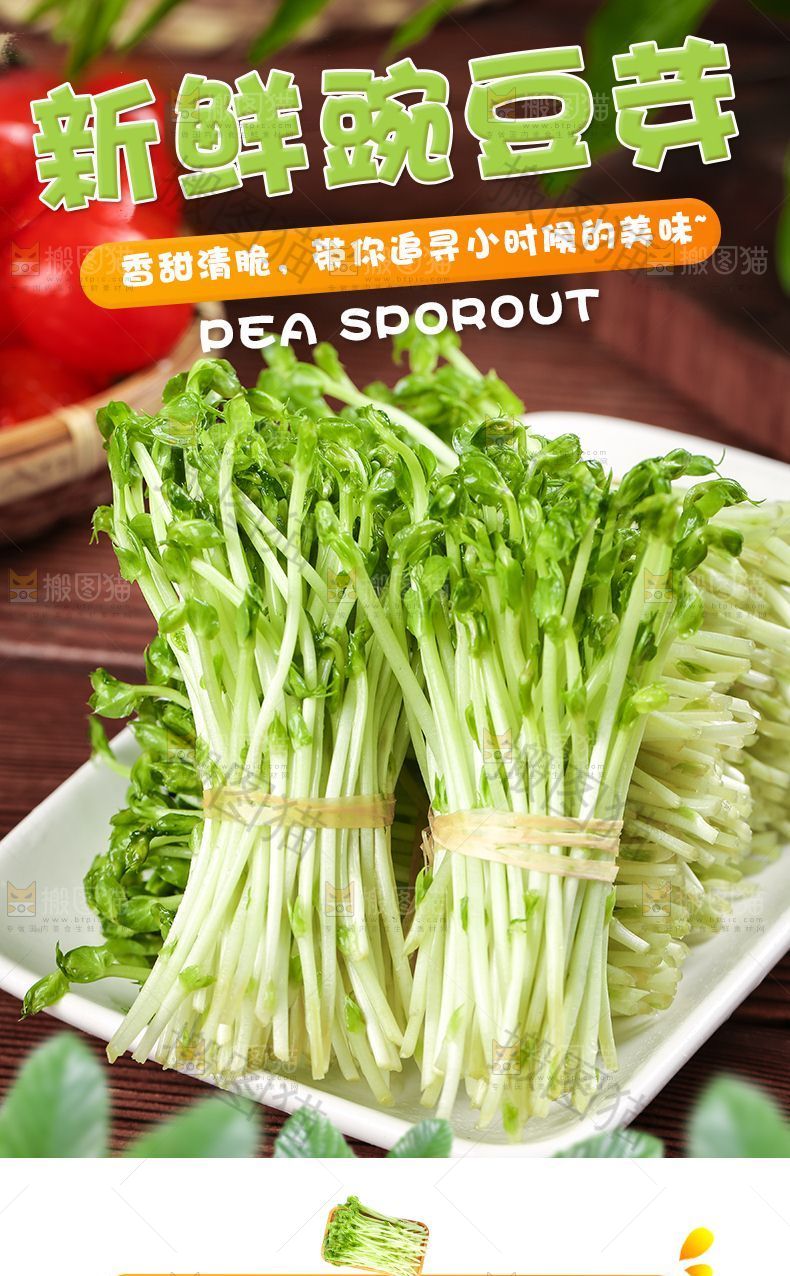 新鲜豌豆芽