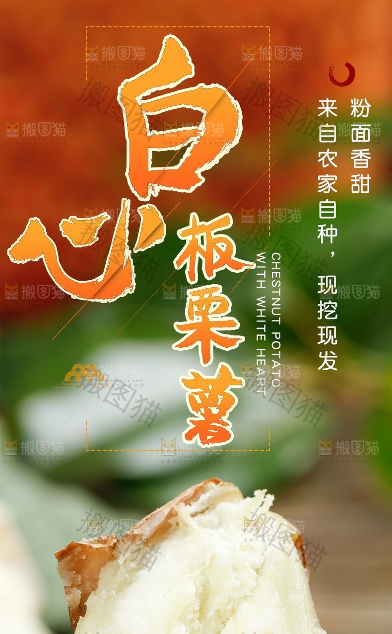 白心板栗薯详情页设计