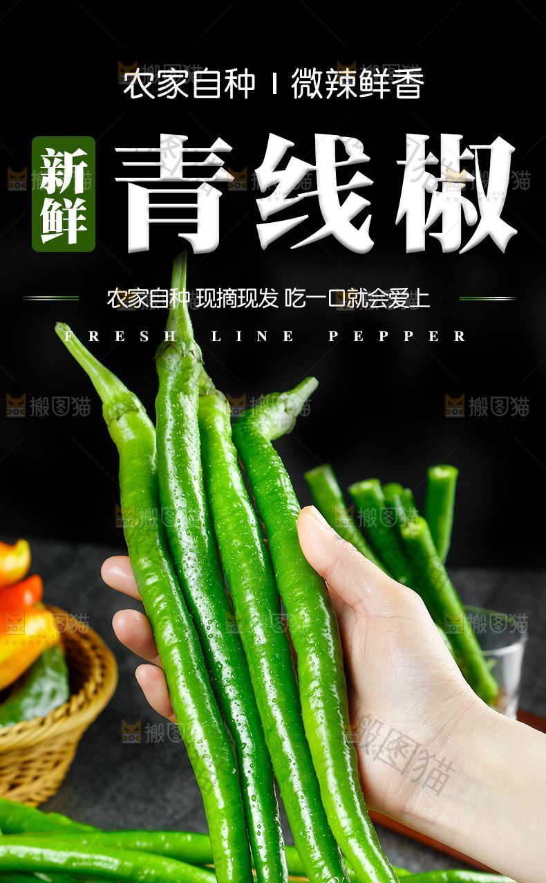 青线椒详情页设计