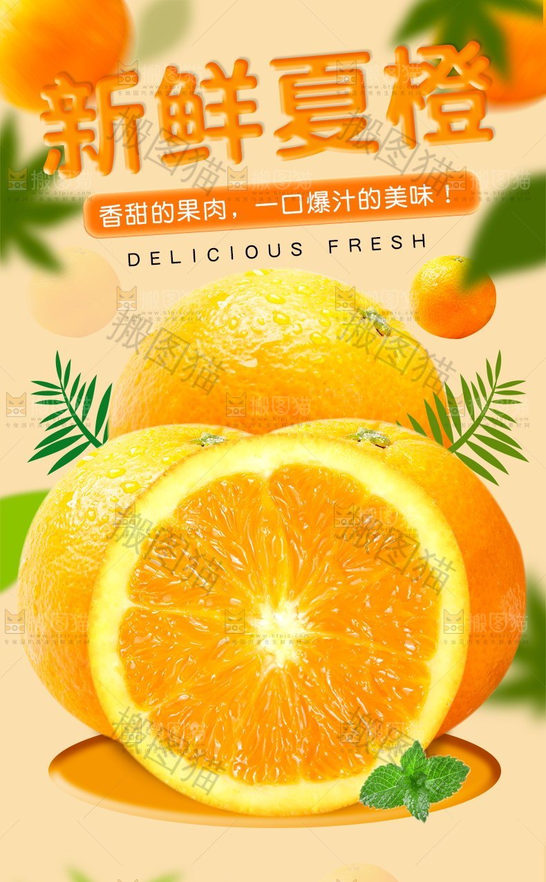 新鲜夏橙详情