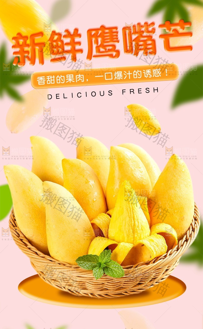 新鲜鹰嘴芒