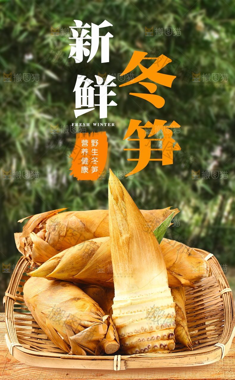 新鲜冬笋详情
