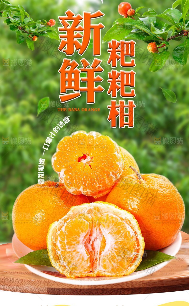 新鲜粑粑柑详情