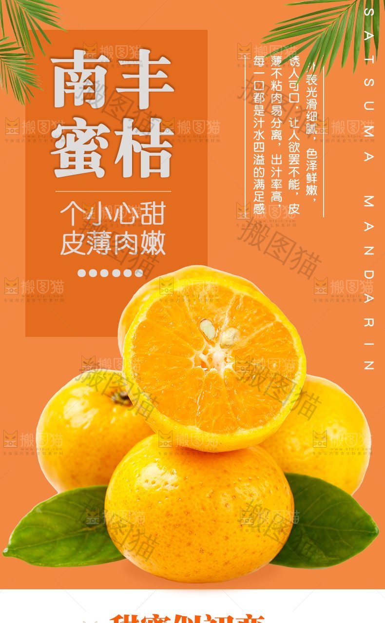 南丰蜜桔详情
